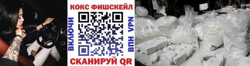 COCAIN Fish Scale  где продают   Сясьстрой 