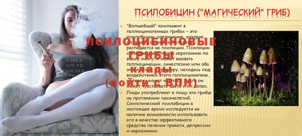 mdpv Кулебаки
