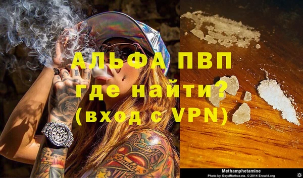 PSILOCYBIN Ладушкин