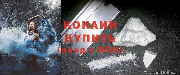 PSILOCYBIN Ладушкин