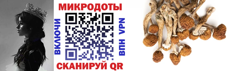 Галлюциногенные грибы Magic Shrooms  Сясьстрой 