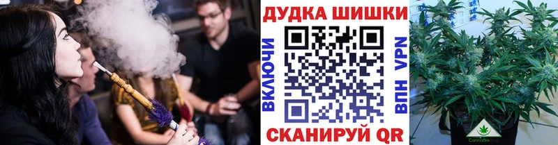 где купить наркотик  Сясьстрой  Бошки Шишки семена 